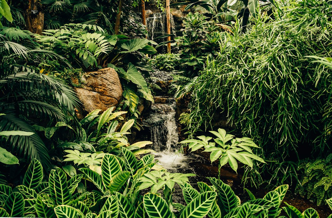 Cascade — illustration d'inspiration