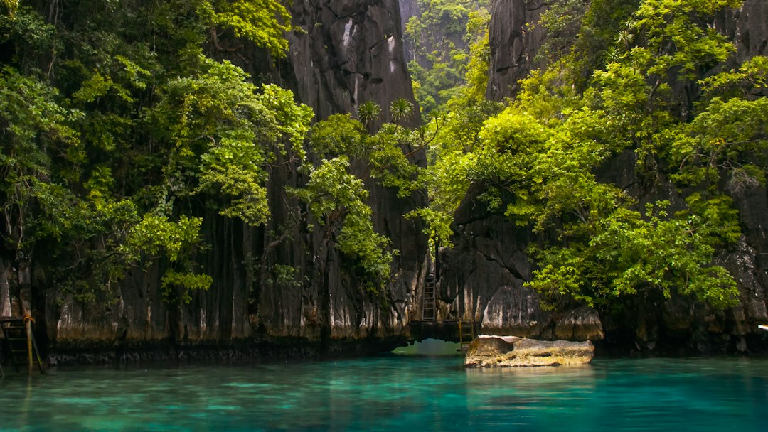 Coron