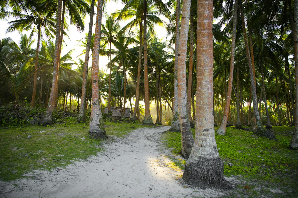 Siargao aux Philippines